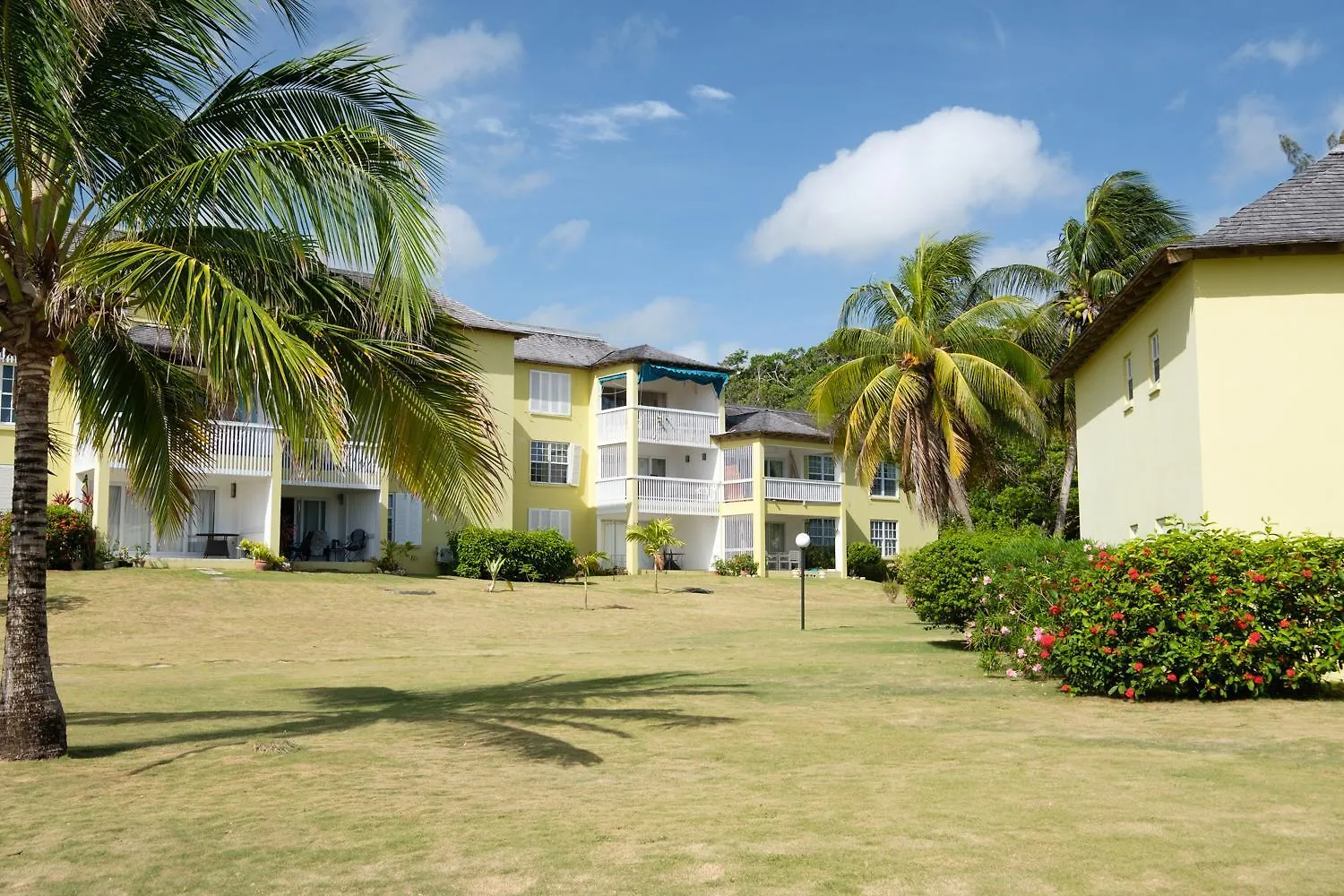 Jamaica Time Driftwood At Sea Palms 3Br 3Ba Condo In Ocho Rios With Pool And Beach Front With Views Only 10 Mins From Ochi Intl Airport Direct Flight From Miami Saint Maryʼs